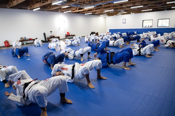 BJJ school Westside New Mexico